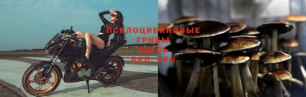 кокс Мегион