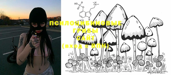 твердый Медвежьегорск