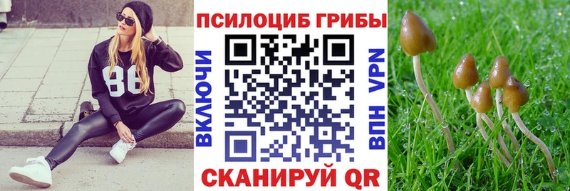 Купить  Шумерля  Галлюциногенные грибы ЛСД 